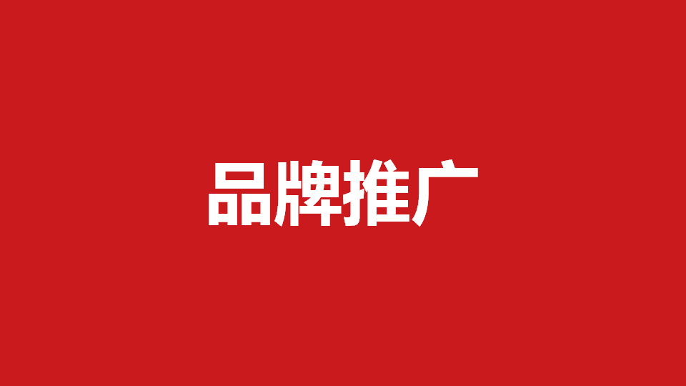 品牌推广传播策划方案65例